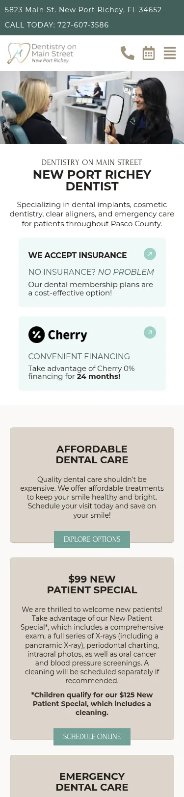 41-Page Dental Template Customisation — mobile view at 375 px