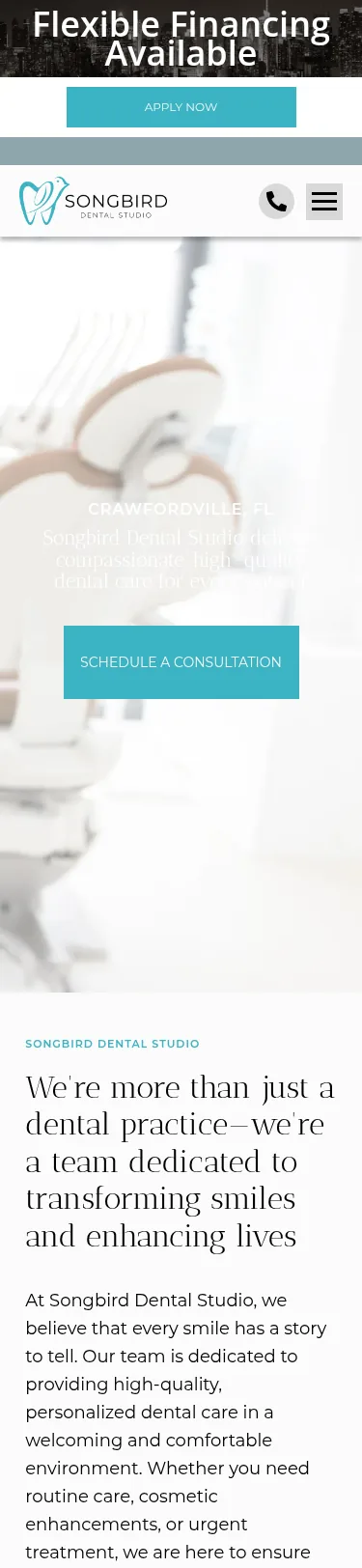 21-Page Dental WordPress Build — mobile view at 375 px