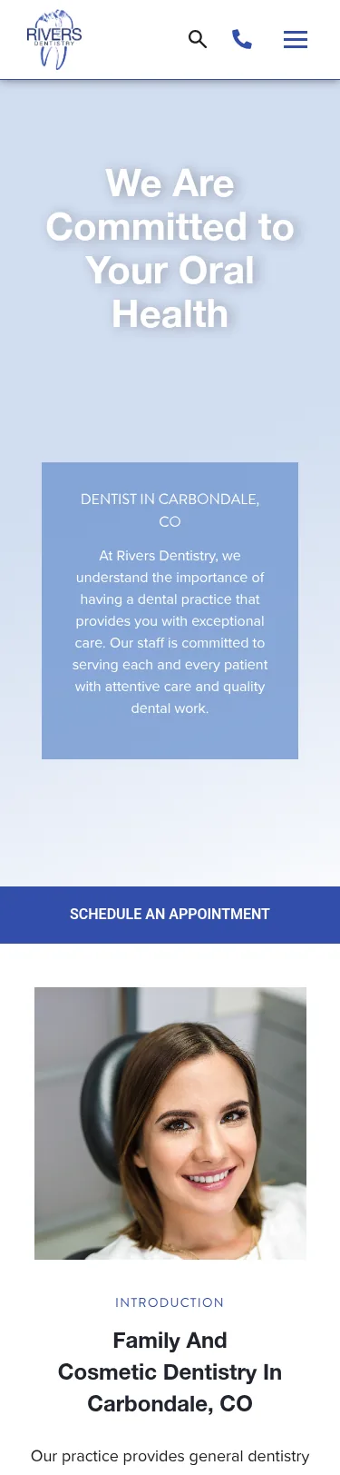 42-Page Dental Template Customisation — mobile view at 375 px